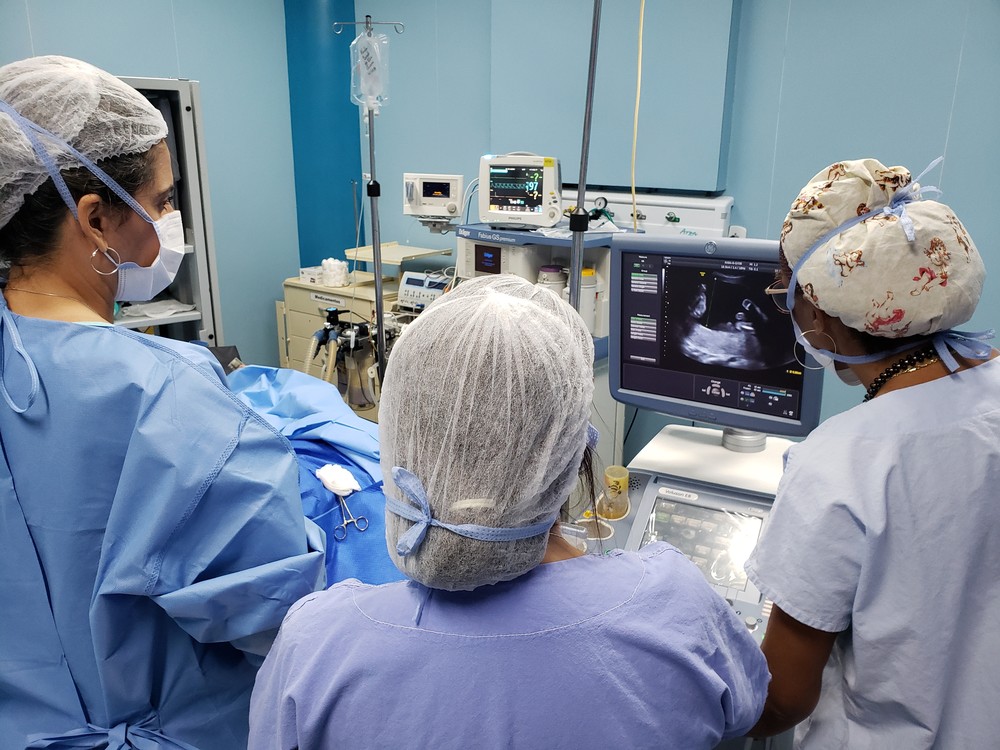 Gêmeas operadas na barriga da mãe, no DF, se recuperam após cirurgia: ‘Foi um sucesso’, dizem médicos