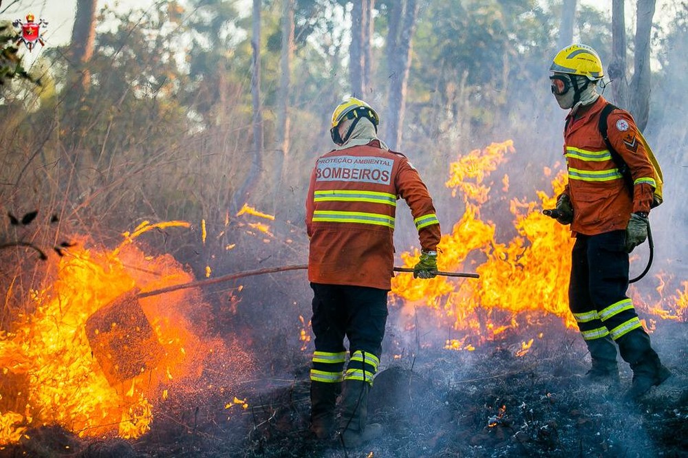 Governo decreta estado de emergência ambiental no DF para enfrentar queimadas