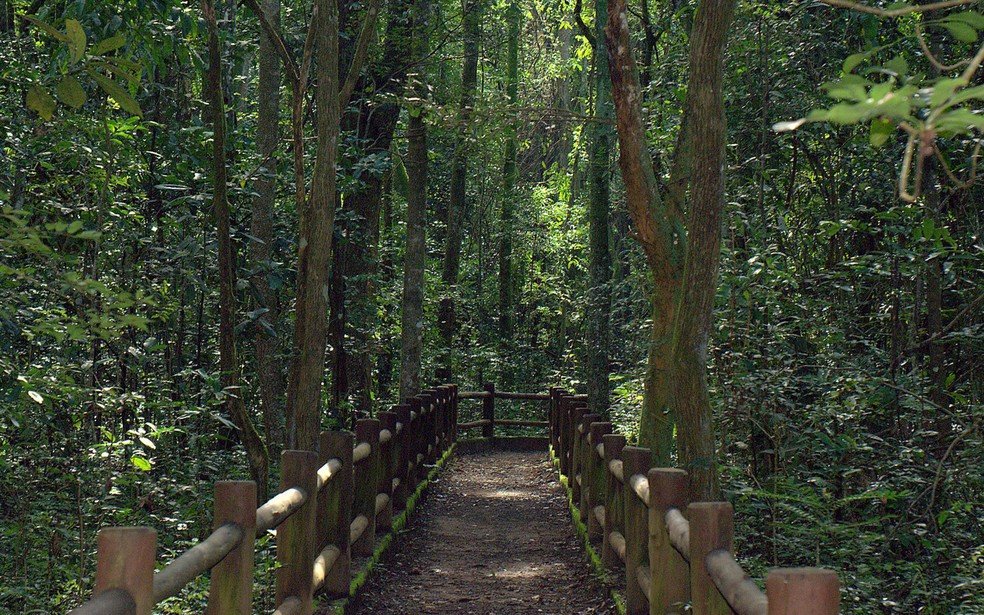 Ibaneis permite reabertura de mais 17 parques no DF; veja lista