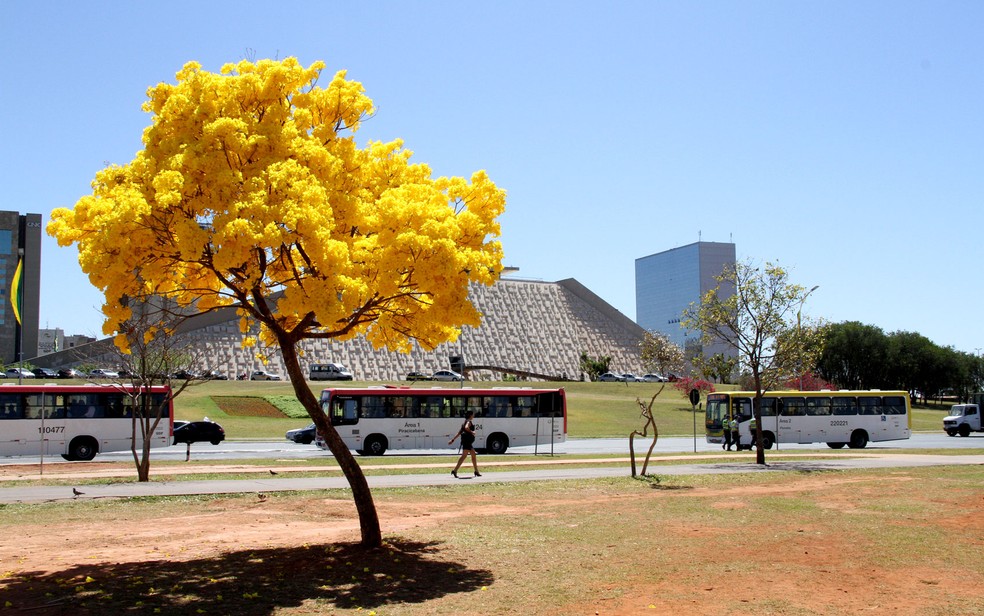 Previsão do tempo para o fim de semana é de sol e calor no DF