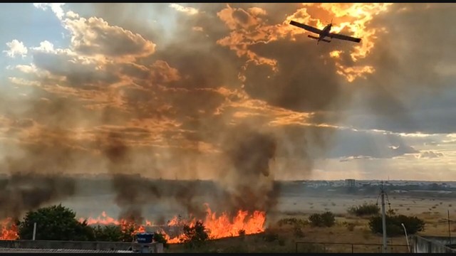 Incêndio em parque ecológico assusta motoristas no DF; bombeiros usam avião para apagar chamas