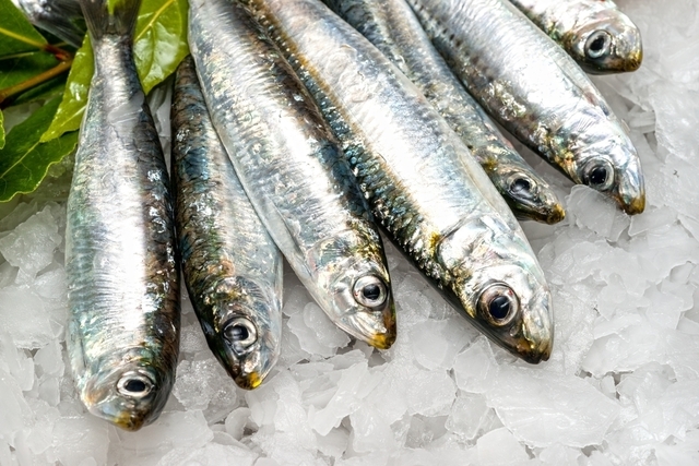 7 benefícios do peixe para saúde