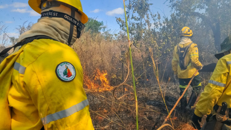 Incêndio florestal queima 13 hectares de vegetação em Taguatinga