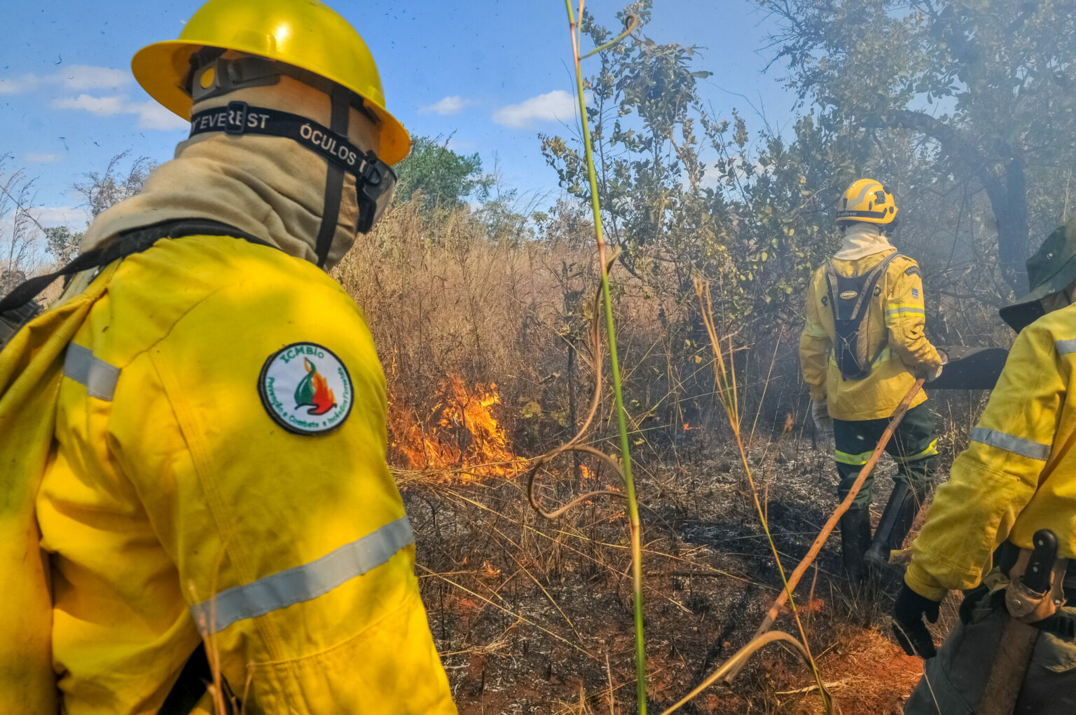 Incêndio florestal queima 13 hectares de vegetação em Taguatinga