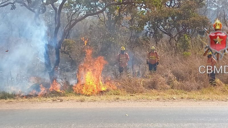 Incêndio atinge Floresta Nacional as margens da DF 001.