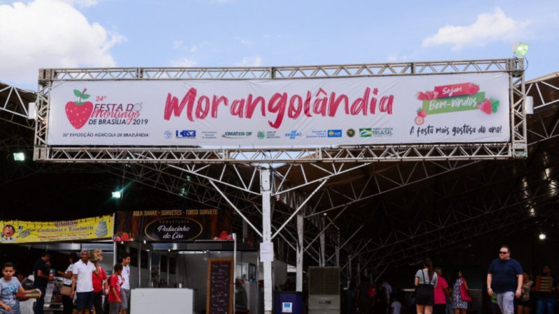 Tradicional Festa do Morango retorna nesta sexta-feira com entrada gratuita em Brazlândia