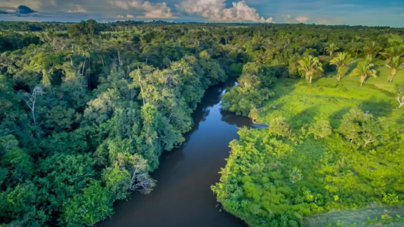 Lula quer ampliar Fundo Amazônia e pensa em novos doadores