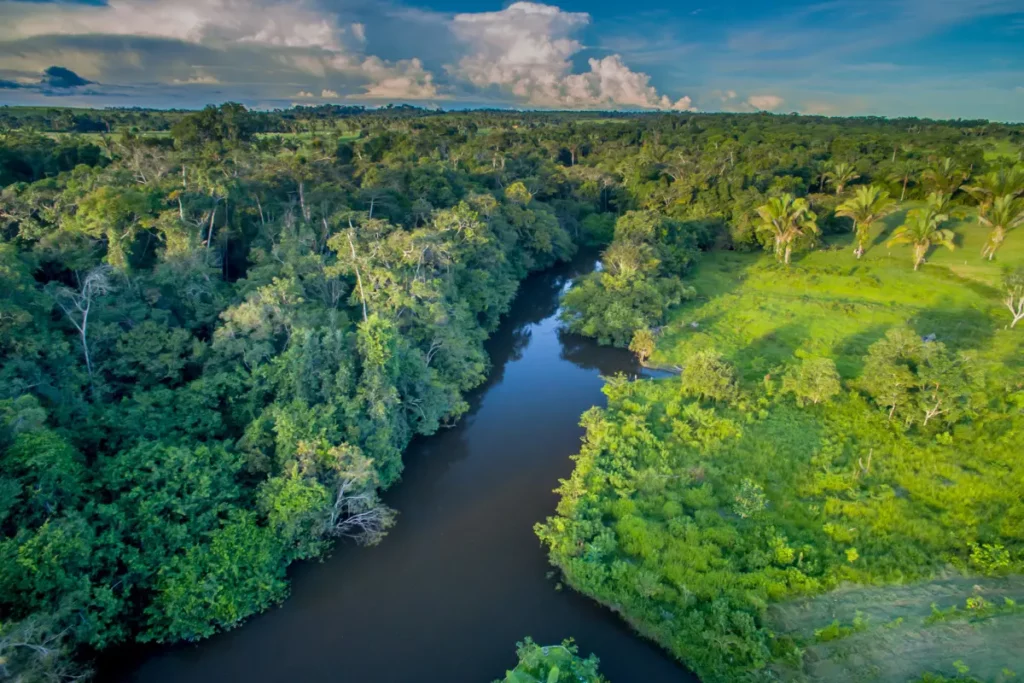 Lula quer ampliar Fundo Amazônia e pensa em novos doadores