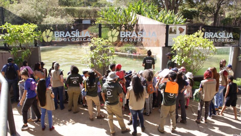 Zoológico de Brasília prorroga inscrições para voluntários