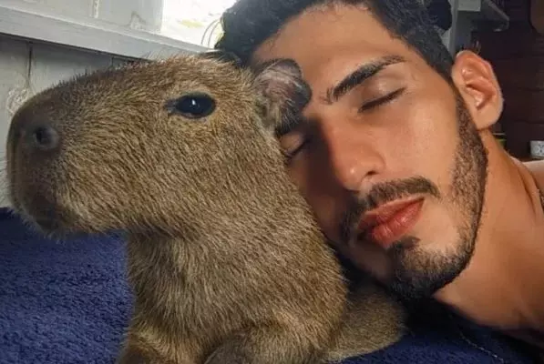 Influenciador consegue guarda provisória da Capivara Filó