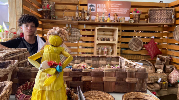 Feira Rural, na AgroBrasília, é atração para os visitantes