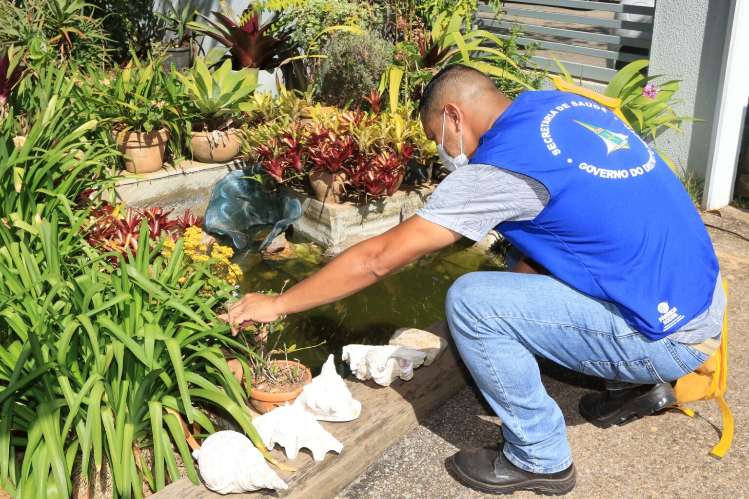 Aedes aegypti: cuidados de vigilância ajudam a manter baixos índices de criadouros no DF