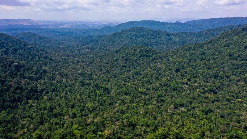 Simone Tebet anuncia projeto de integração de países amazônicos e crédito de R$ 4,5 bi a produtores