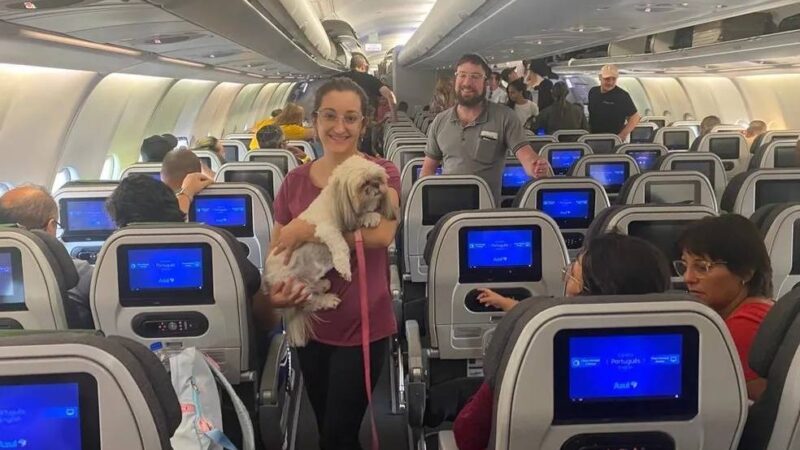 Com pets e mais de 200 brasileiros, segundo avião da FAB chega ao Rio de Janeiro