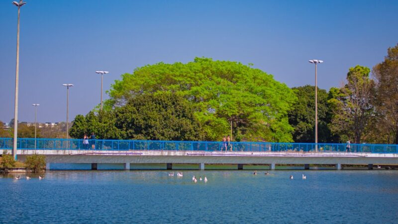 Lago do Parque da Cidade receberá nova operação de limpeza