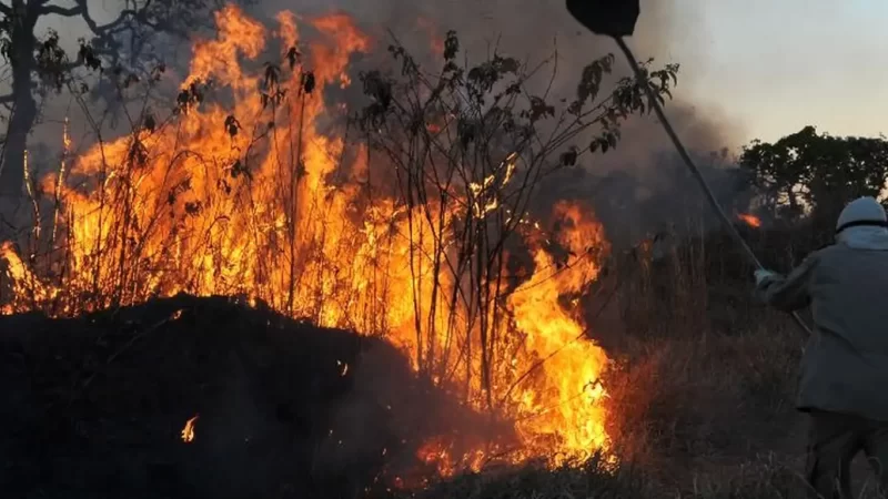 Fundo Amazônia amplia recursos para combater incêndios florestais