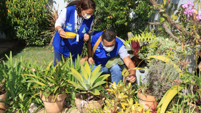 Plano de ação para combate ao Aedes aegypti no DF é discutido