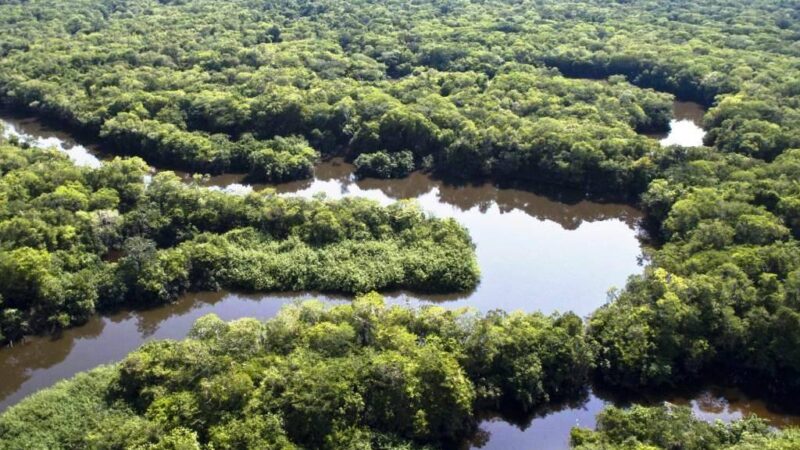 Noruega anuncia, na COP28, nova doação de R$ 245 milhões ao Fundo Amazônia