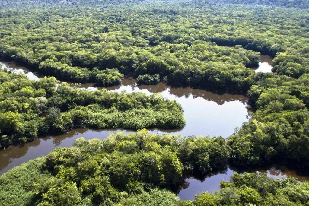 Noruega anuncia, na COP28, nova doação de R$ 245 milhões ao Fundo Amazônia