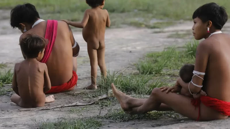 Forças Armadas levarão 15 mil cestas de alimentos aos Yanomami