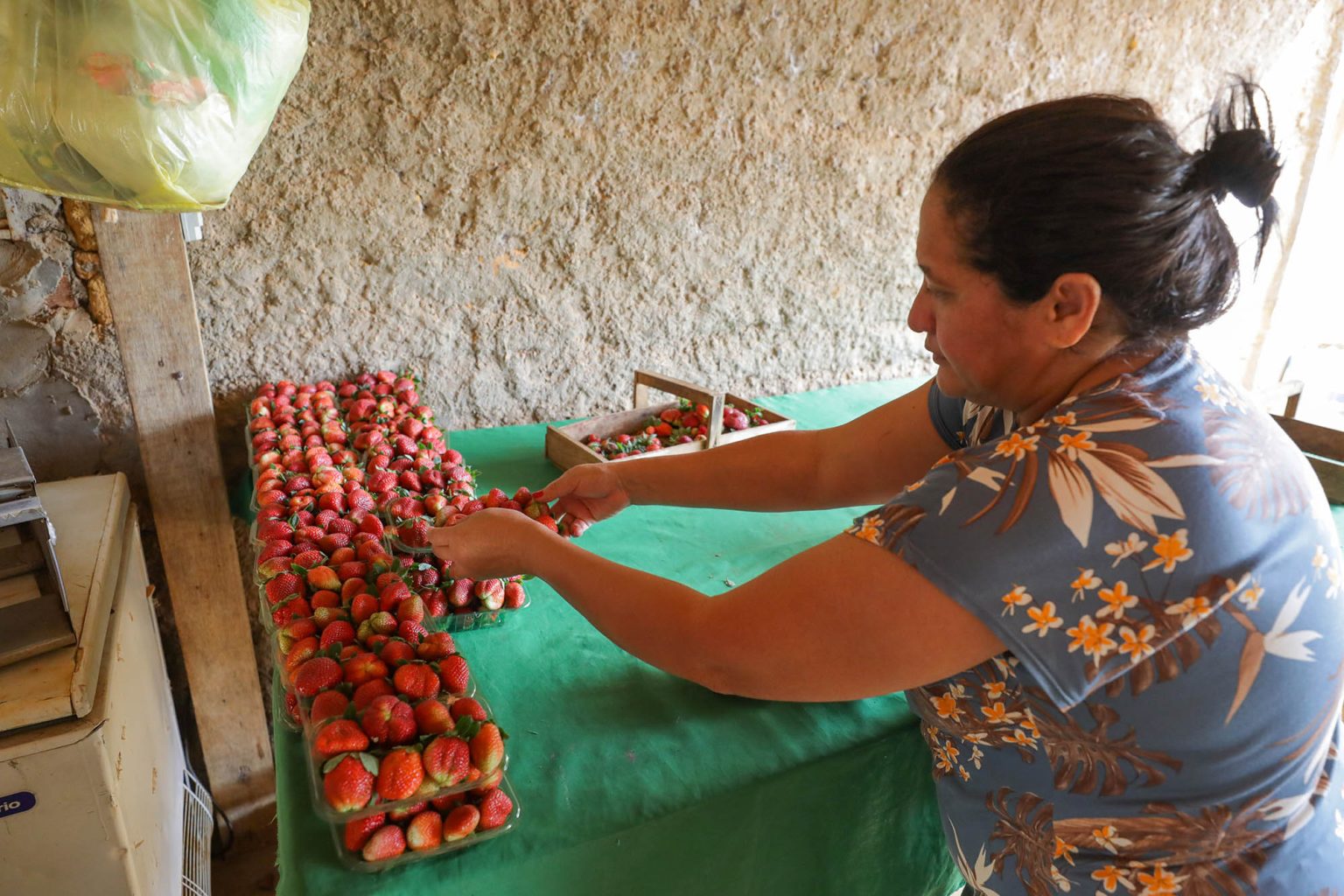 DF fará maior compra de alimentos da agricultura familiar para escolas da história