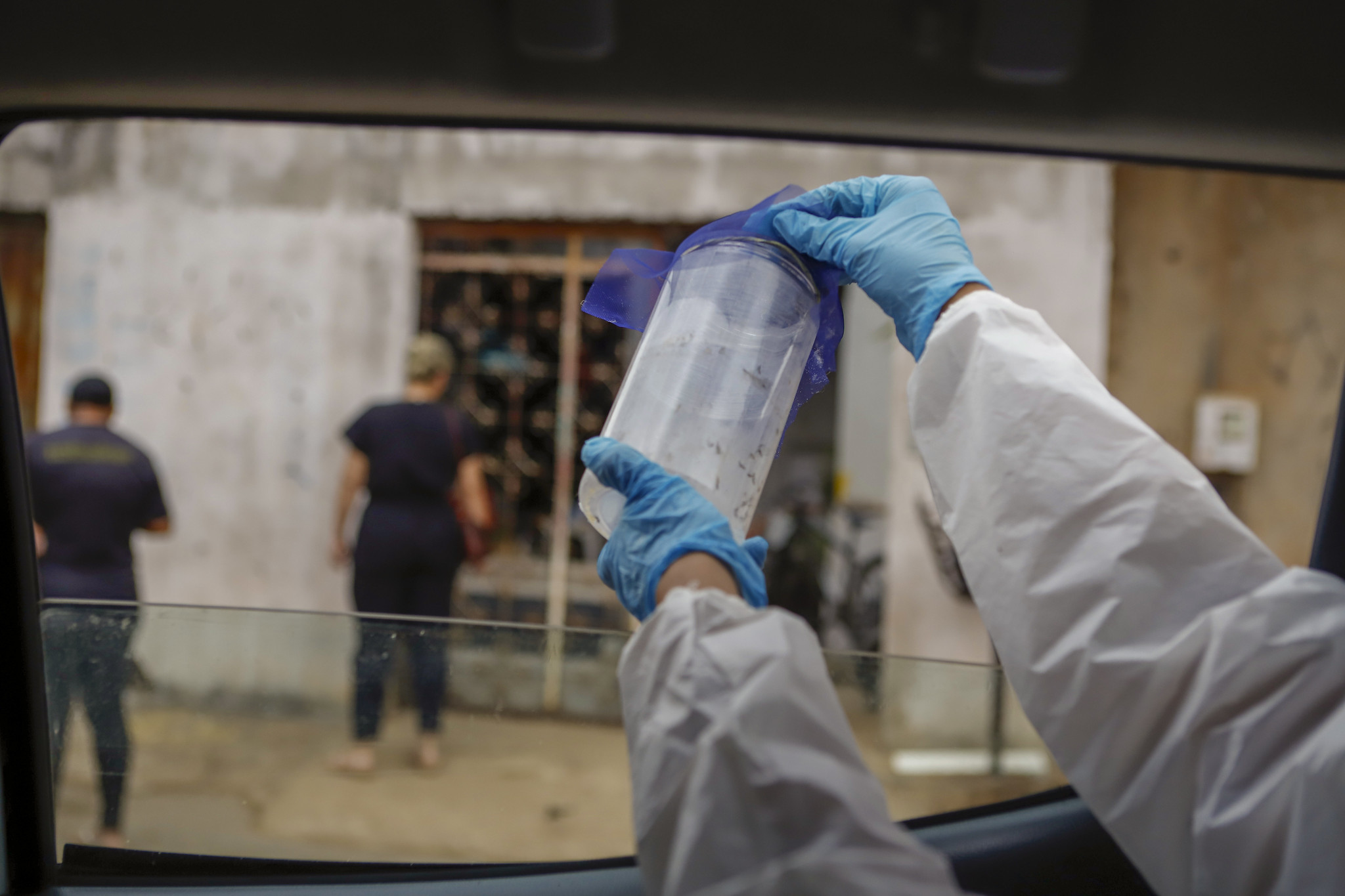 Wolbitos são soltos no Distrito Federal para ajudar no combate à dengue