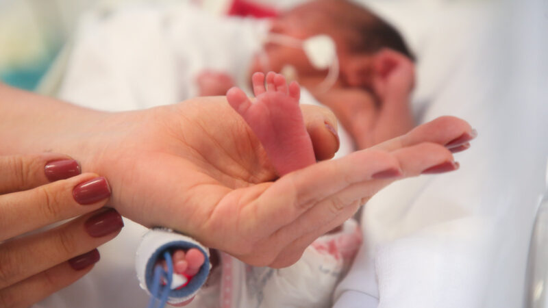 Novembro Roxo: campanha joga luz sobre a saúde dos bebês prematuros