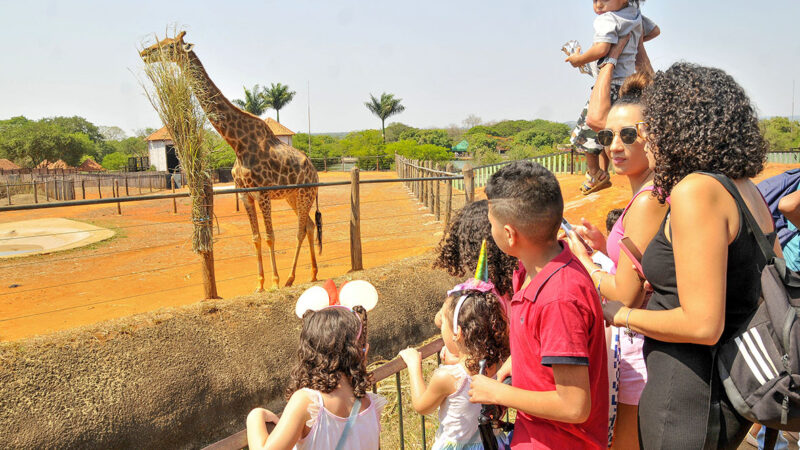 Experiências sensoriais e inclusivas fazem parte da programação gratuita do fim de semana no DF