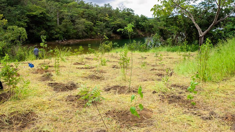 GDF cria Parque Distrital da Serrinha e reforça proteção ambiental no Lago Norte