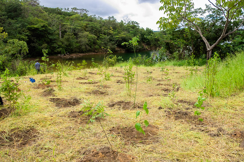 GDF cria Parque Distrital da Serrinha e reforça proteção ambiental no Lago Norte