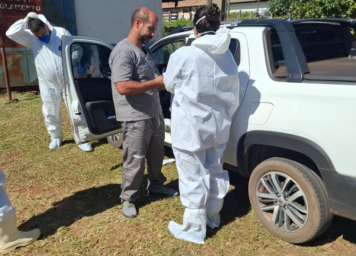 Mesmo sem casos em 2026, GDF empreende ações contínuas de prevenção contra a gripe aviária